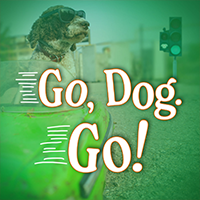 Go, Dog. Go!